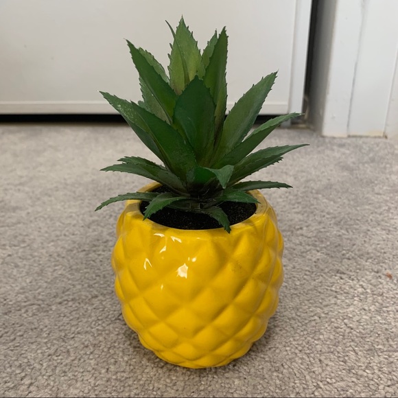 Other - •3 for $50• Plastic Succulent Pineapple Pot